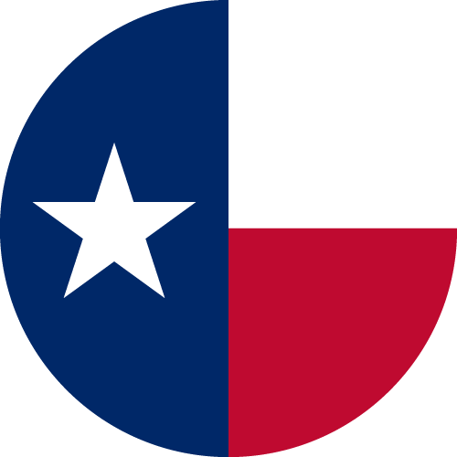 Texas flag with a white star and blue, white, and red panels