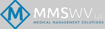 MMSWV LLC